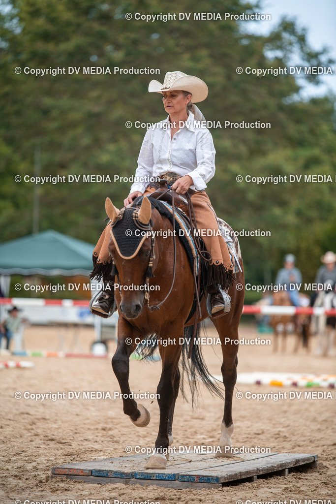 ZS2_8082 | dv-media-shop - Realisiert mit Pictrs.com