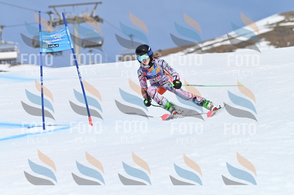 BGV_0434 | holidayphoto