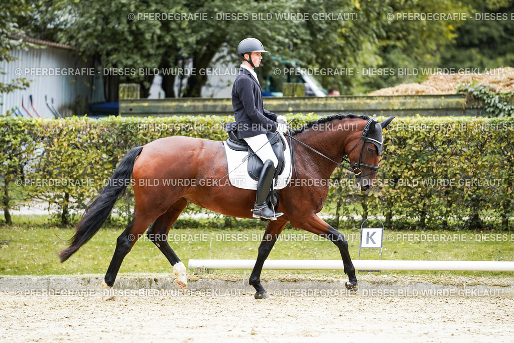 DSC08355 | Pferdegrafie