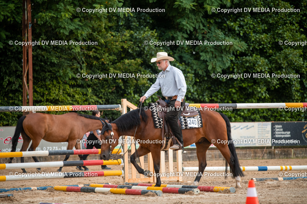 ZS2_7437 | dv-media-shop - Realisiert mit Pictrs.com