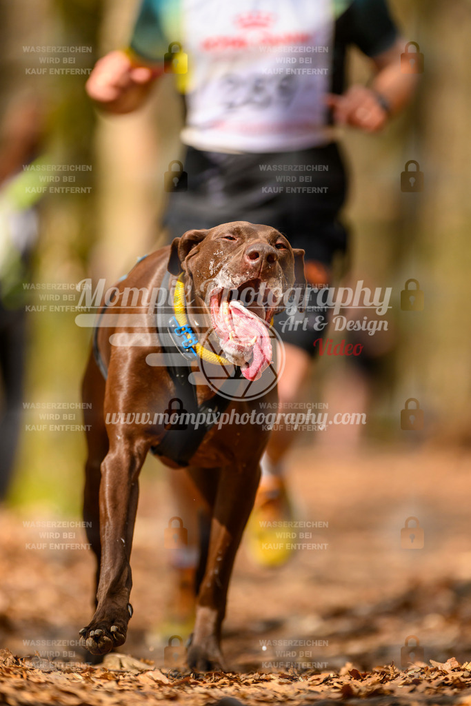 MompixPhotography_Habay2025_SA_CCC-120 | PayLife
