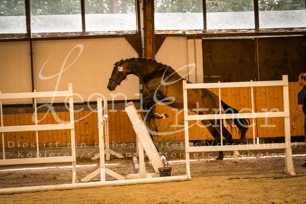 FrFS00025 | Leoni Ertmer Photography - Realisiert mit Pictrs.com