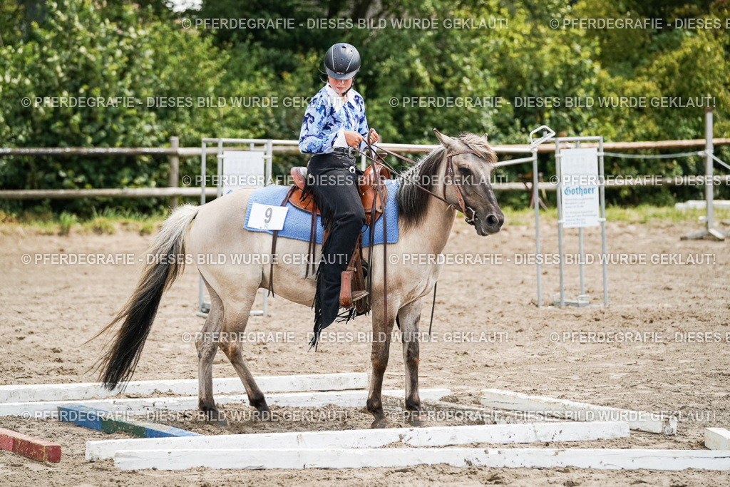 DSC07855 | Pferdegrafie