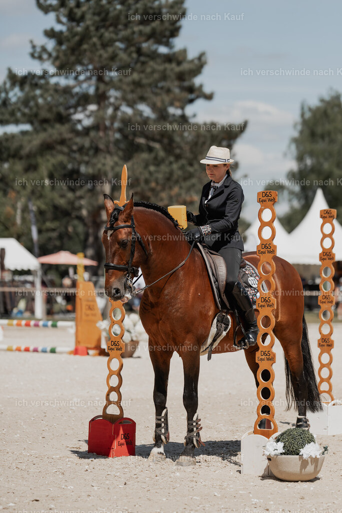 WE_ST_Stoib_322_PI2025_1292 | Pferd International München 2025