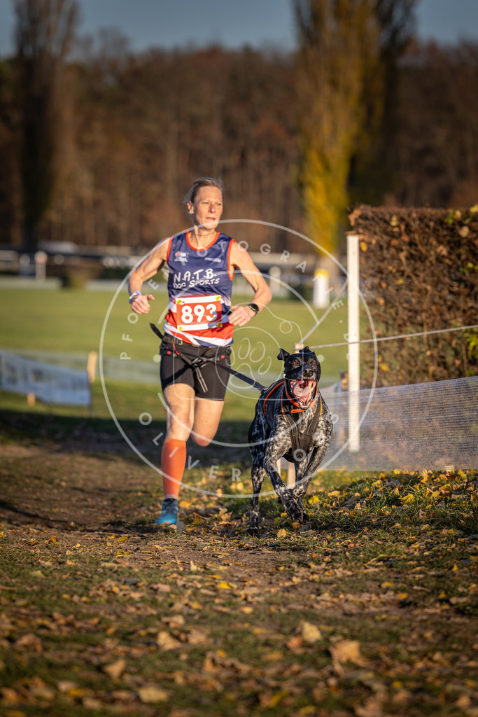 CaniXpix_DV3A4501 | Hundefotografie, Tierfotograf, Pfotenfotografie, Fotoshooting Hund, Hunde Portrait, Hundesport, Hundeportraits, Heideshooting, Hunde, Sportfotograf, Hundefotograf, Turnierhundsport, THS,  - Realisiert mit Pictrs.com