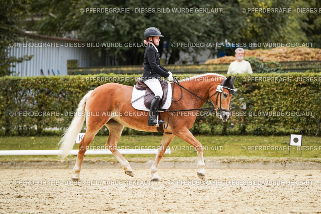 DSC00654 | Pferdegrafie