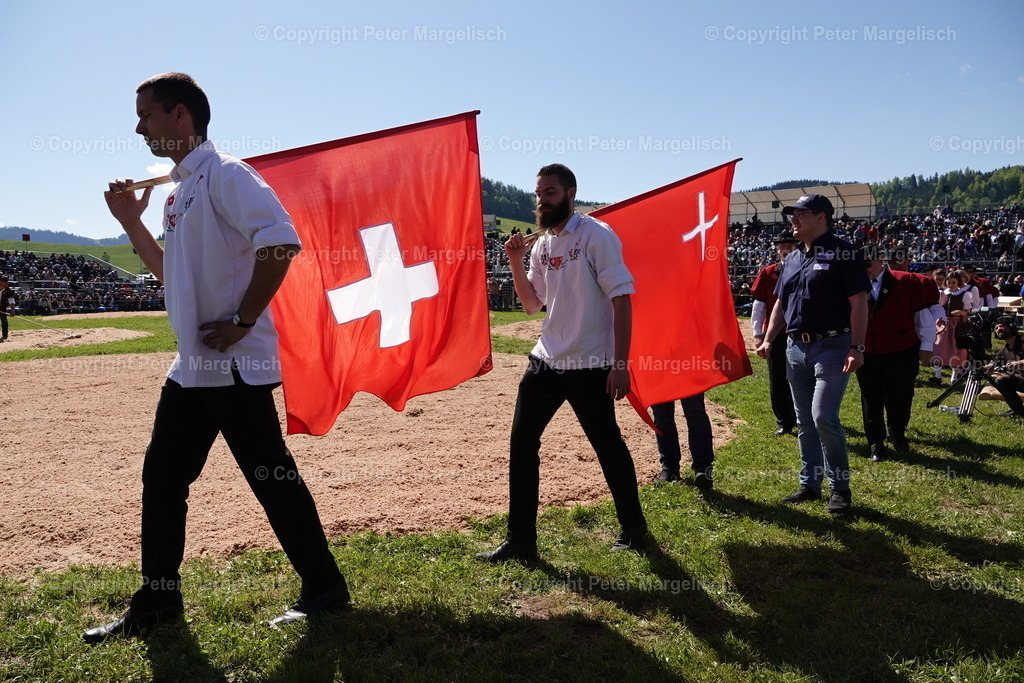 DSC00941 | Schwingen - Realisiert mit Pictrs.com