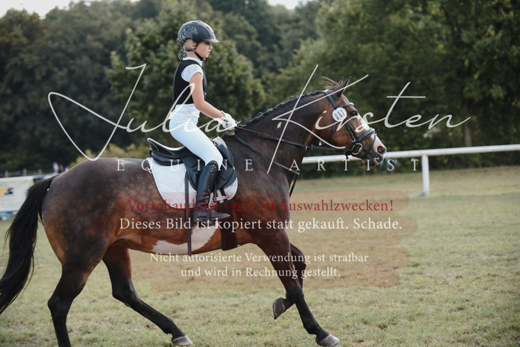 DSC_5278 | Pferde- und Turnierfotografie in Westsachsen. Pferdeportraits, Auftragszeichnungen und intuitive Kunst.