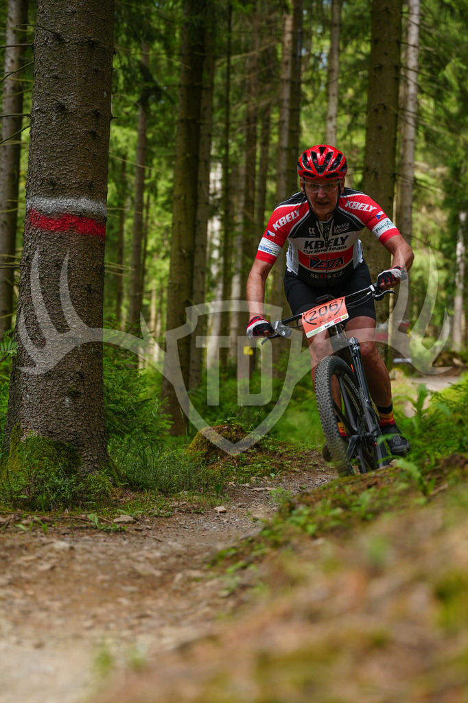 FC603814 | Fotogalerie der Treibjagd im Dunkelwald - Dein MTB Etappenrennen im Erzgebirge - Realisiert mit Pictrs.com