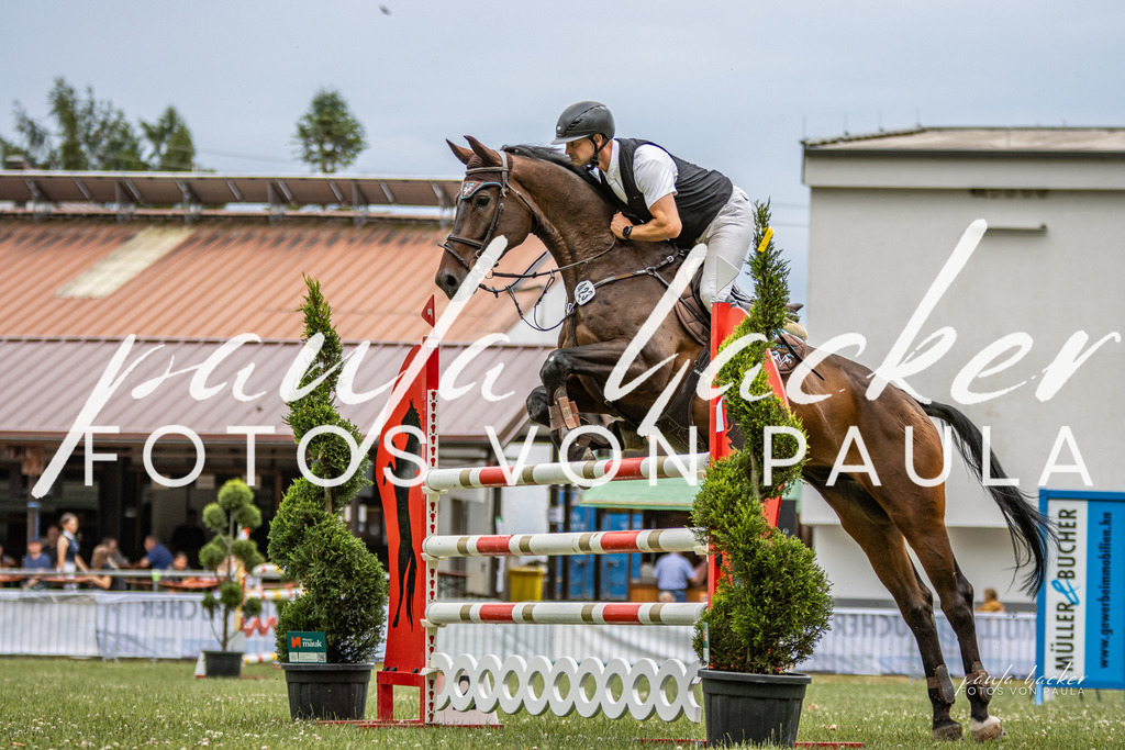 IMG_7352 | Erleben Sie dynamische Sport- und emotionale Tierfotografie in Süddeutschland mit Fotos von Paula. Spezialisiert auf Pferde- und Hundefotografie sowie Sportevents. Kontaktieren Sie mich für einzigartige und ausdrucksstarke Bilder Ihrer besonderen Momente. - Realisiert mit Pictrs.com