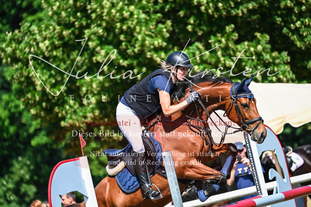 DSC_1447 | Pferde- und Turnierfotografie in Westsachsen. Pferdeportraits, Auftragszeichnungen und intuitive Kunst.
