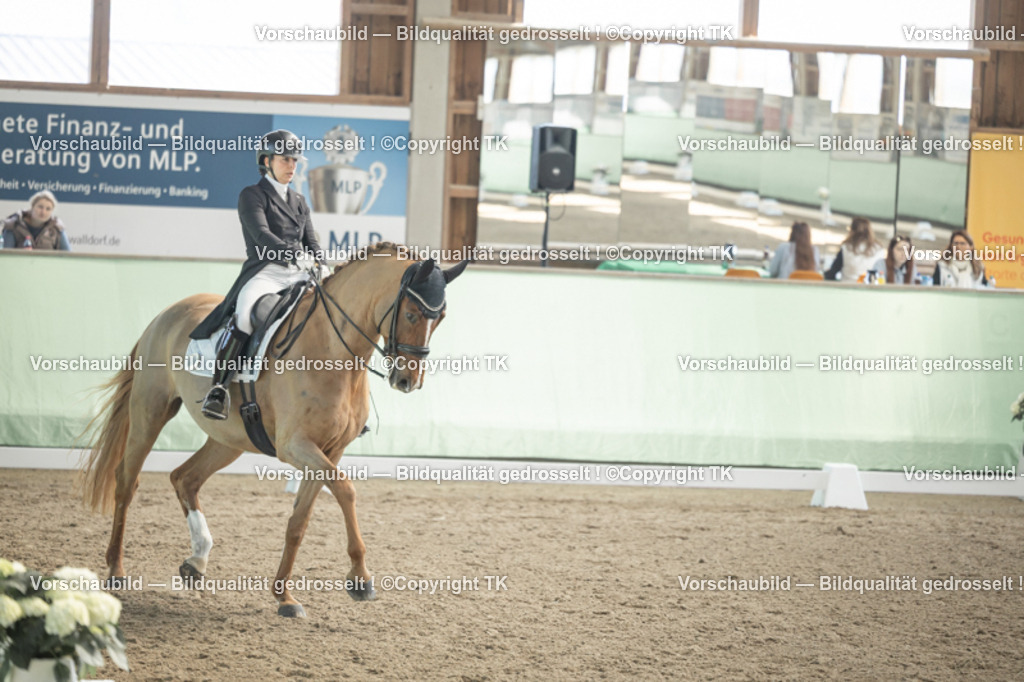 _D5A1324 | Emotionale Pferde- & People-Fotografie rund um Heidelberg, Leimen & Umgebung. Natürliche Fotos von Pferd, Mensch & Familie. Jetzt Termin sichern!