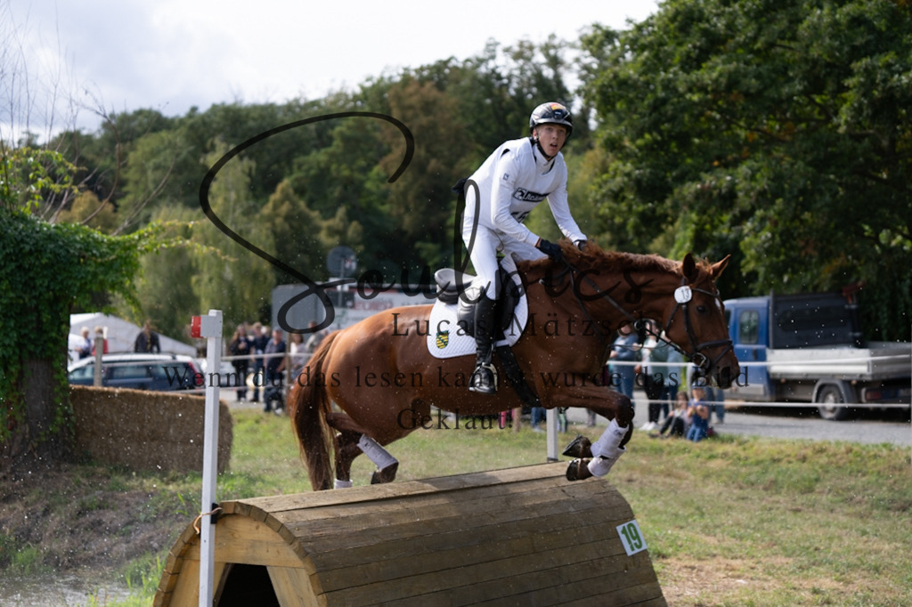 A7V01157 | Pferdefotograf