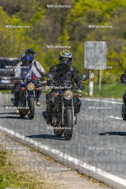 MSFotoServiceXXX480 | MSFotoService - Realisiert mit Pictrs.com