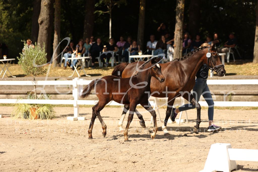 08.DoRPS00030 | Leoni Ertmer Photography - Realisiert mit Pictrs.com