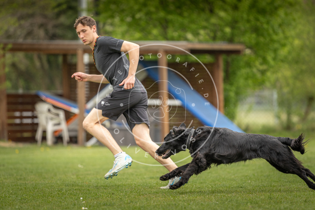 Pfotenfotografie_DV3A9786 | Hundefotografie, Tierfotograf, Pfotenfotografie, Fotoshooting Hund, Hunde Portrait, Hundesport, Hundeportraits, Heideshooting, Hunde, Sportfotograf, Hundefotograf, Turnierhundsport, THS,  - Realisiert mit Pictrs.com