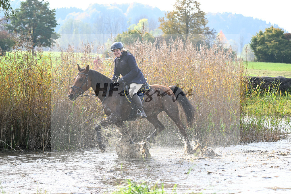 40250408 | hf-fotografie - Realisiert mit Pictrs.com