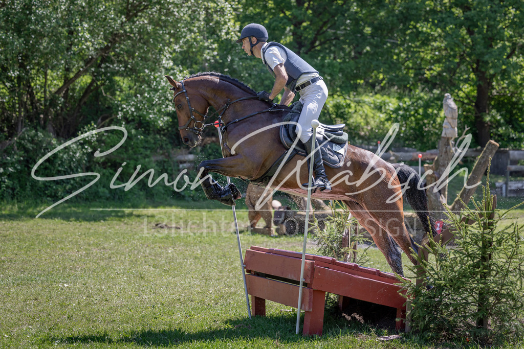 20260523-_3LI7960 | Tierfotografie Pferde, Hunde, Katzen, Haustiere.
Turnierfotografie Reitturniere, Reiten, Springreiten, Dressur in Hanau, dem Main-Kinzig-Kreis und dem Rhein-Main- Gebiet um Frankfurt