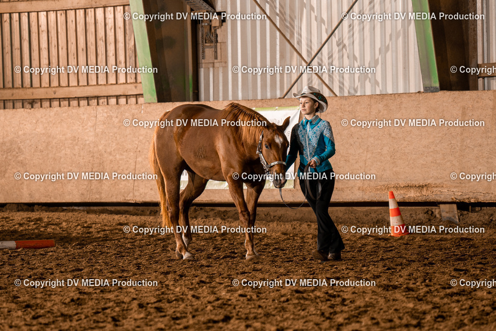 BAL01157 | dv-media-shop - Realisiert mit Pictrs.com