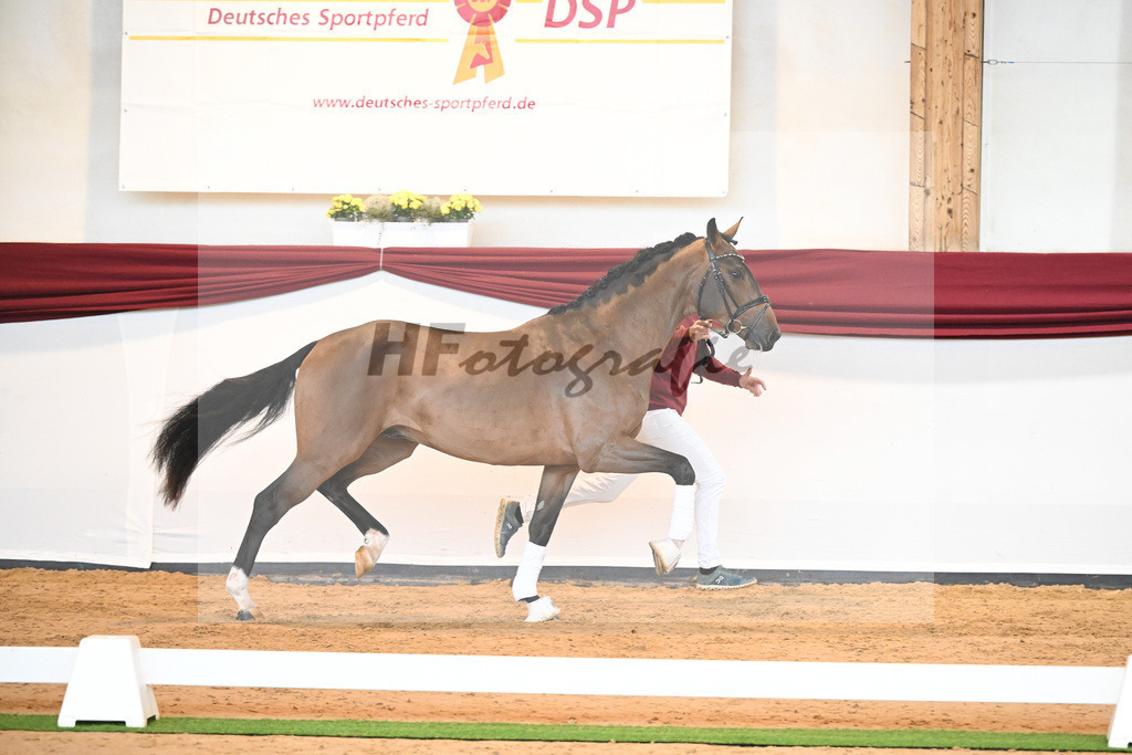 Kat-Nr. 3 v. Baron_Brors_66221558 | hf-fotografie - Realisiert mit Pictrs.com