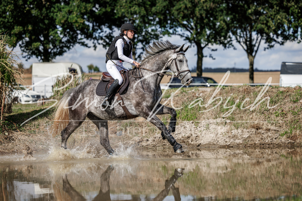20260905-_3LI9782 | Tierfotografie Pferde, Hunde, Katzen, Haustiere.
Turnierfotografie Reitturniere, Reiten, Springreiten, Dressur in Hanau, dem Main-Kinzig-Kreis und dem Rhein-Main- Gebiet um Frankfurt