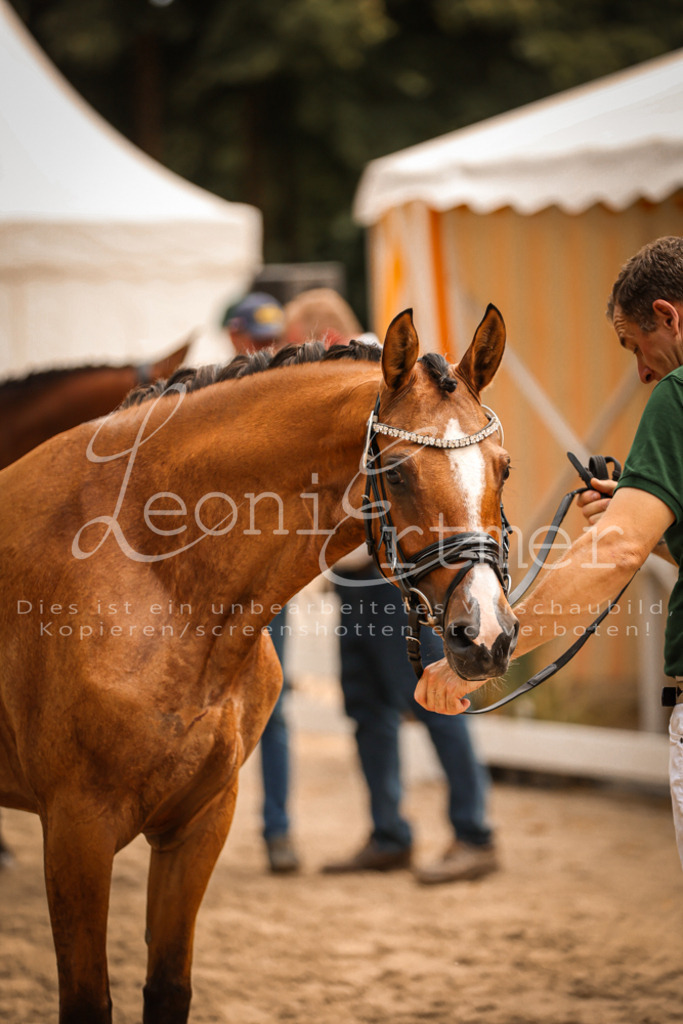 11.So00133 | Leoni Ertmer Photography - Realisiert mit Pictrs.com