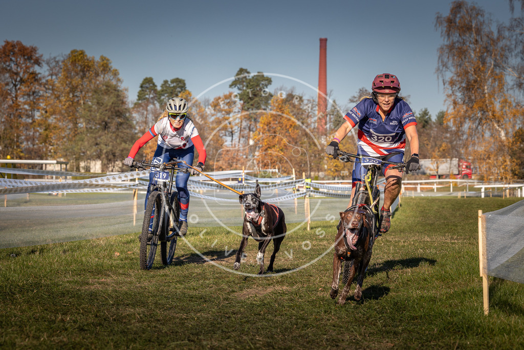 CaniXpix_0L8A5677 | Hundefotografie, Tierfotograf, Pfotenfotografie, Fotoshooting Hund, Hunde Portrait, Hundesport, Hundeportraits, Heideshooting, Hunde, Sportfotograf, Hundefotograf, Turnierhundsport, THS,  - Realisiert mit Pictrs.com