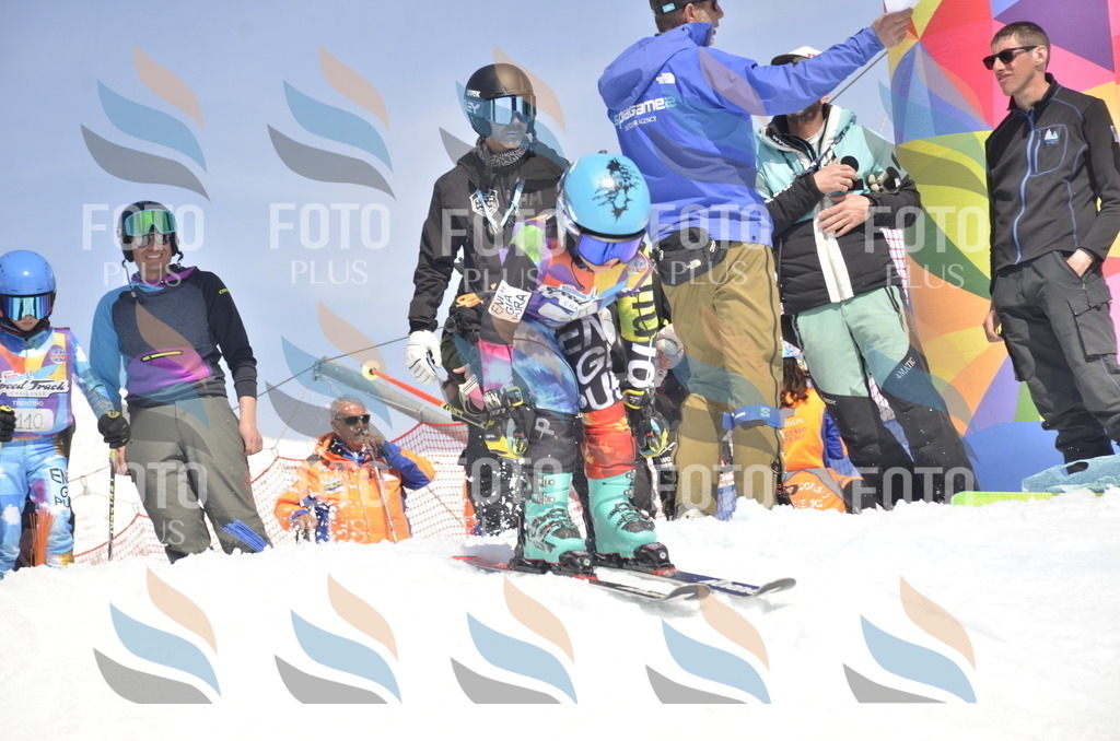 _ELE9455 | holidayphoto