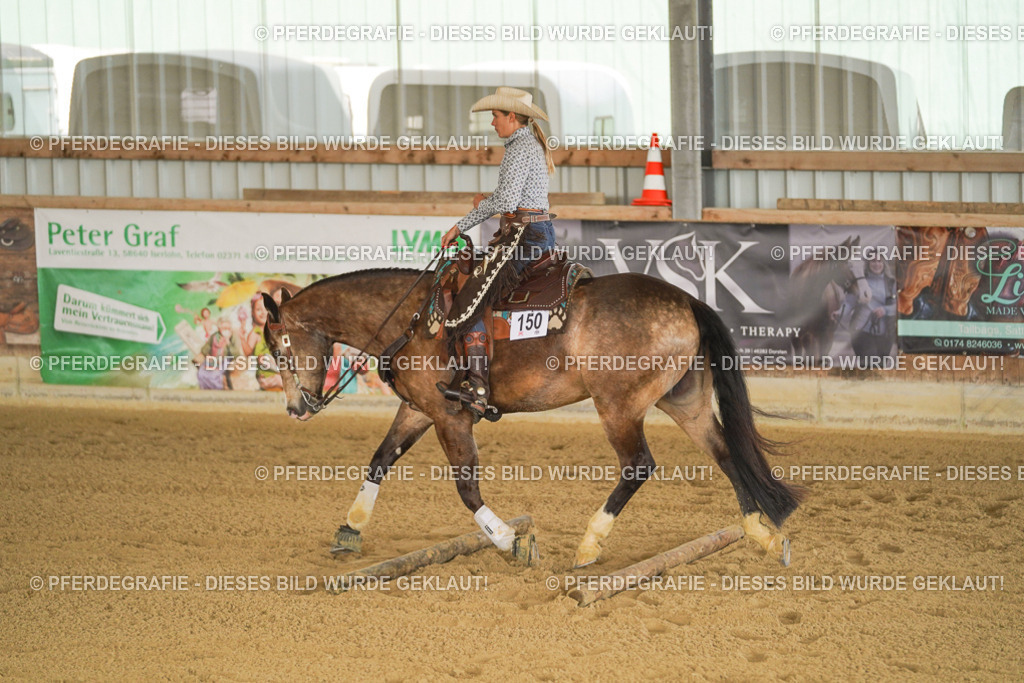 DSC02790 | Pferdegrafie