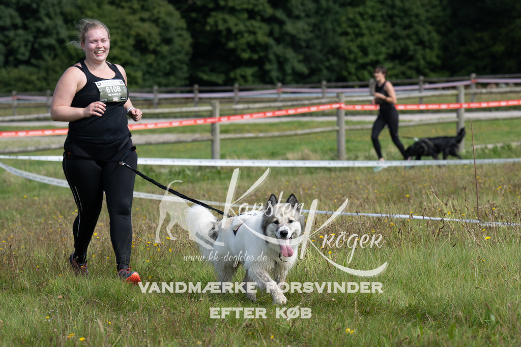 1216_ZZ93341 | kk-dogfotos