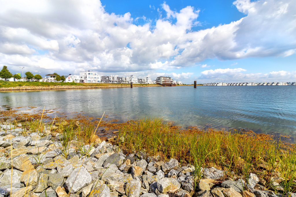 Wandbild: Uferbereich in Olpenitz | Dieses Wandbild im Querformat zeigt Steine und Schilf im Uferbereich in Olpenitz. Die Ferienwohnungen in der Ferne spiegeln sich auf dem Wasser. Am blauen Himmel befinden sich sommerliche Wolken.  - Realisiert mit Pictrs.com