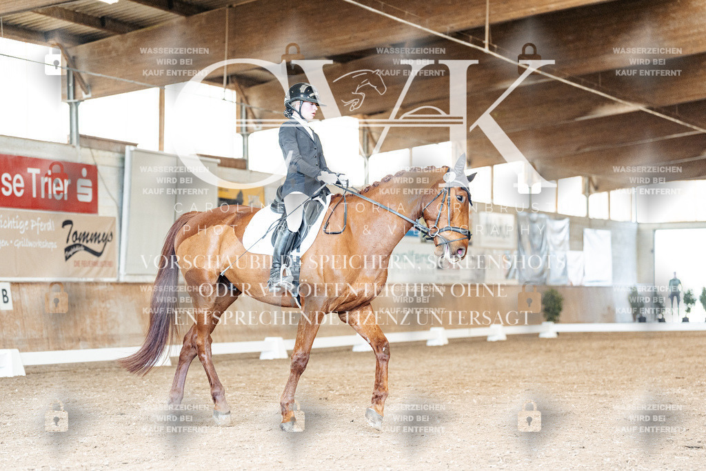 CK901063 | Turnierfotografie Pferdefotografie Trier Rheinland-Pfalz Pferdesport Reitsport Tierfotografie Sportfotografie Pferdevideo Pferdevideografie Equestrianvideography equestrianphotography  - Realisiert mit Pictrs.com