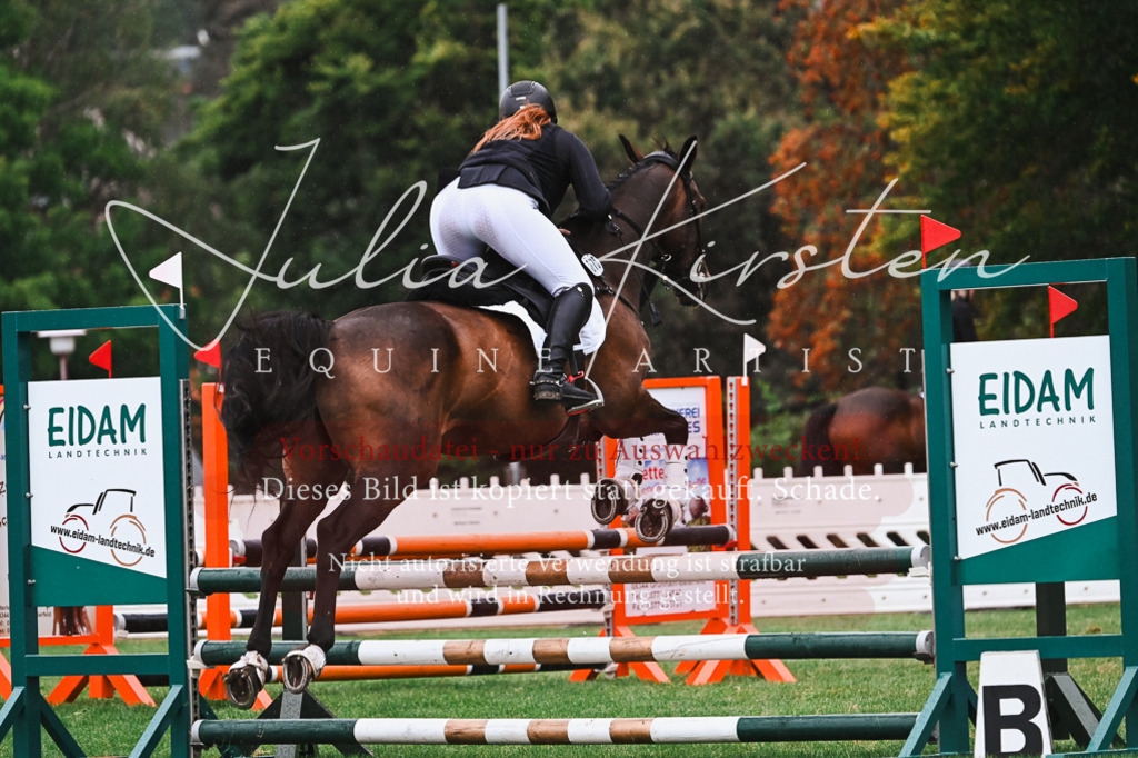 DSC_6524 | Pferde- und Turnierfotografie in Westsachsen. Pferdeportraits, Auftragszeichnungen und intuitive Kunst.