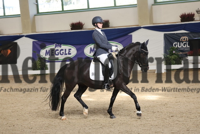 Ising_2025_Prfg.Nr.20_Pony-Dressurprfg.Kl.L_Kür_Emilia Arenz_Püppi de Luxe 2 (1) | Alle Fotos der Reiterjournal Fotografin Doris Matthaes im Reiterjournal Online-Fotoshop. - Realisiert mit Pictrs.com