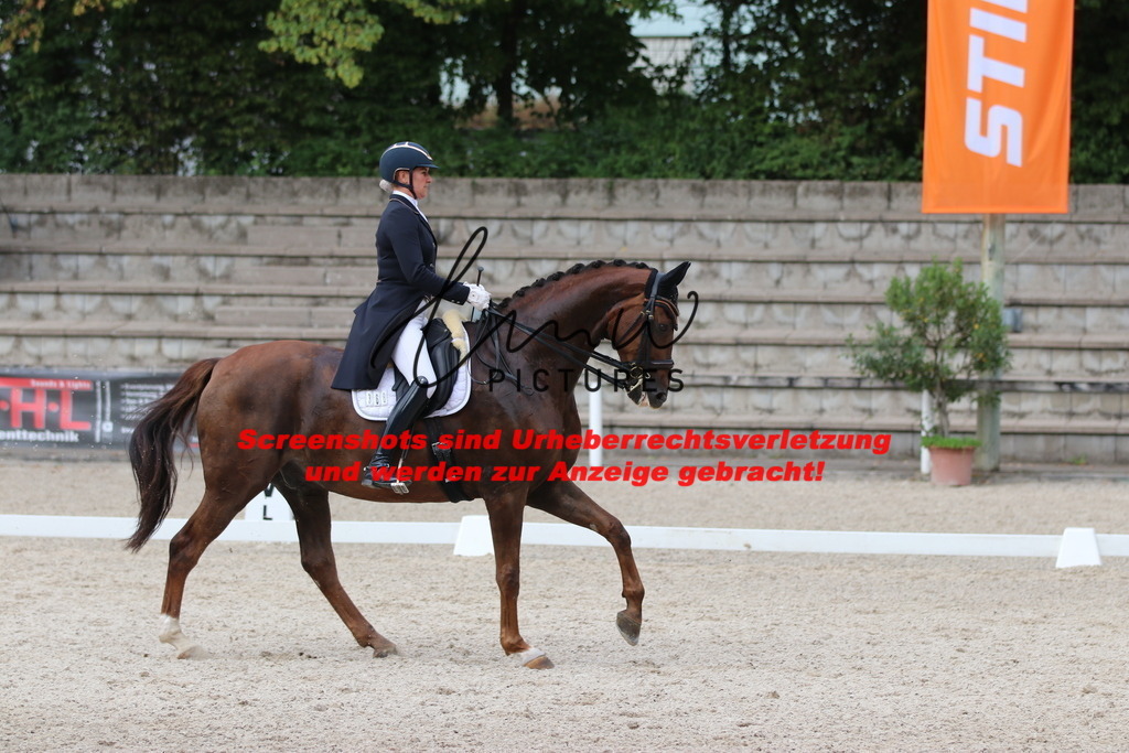 IMG_6565 | lmwpictures - Realisiert mit Pictrs.com