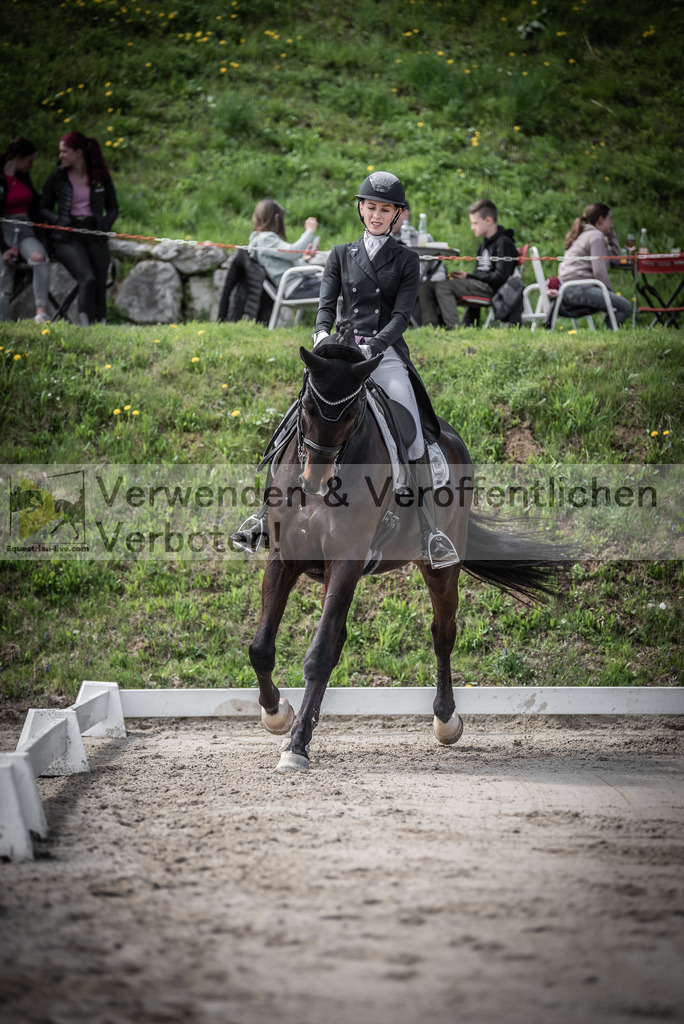 DSC_2220 | equestrian-live-com