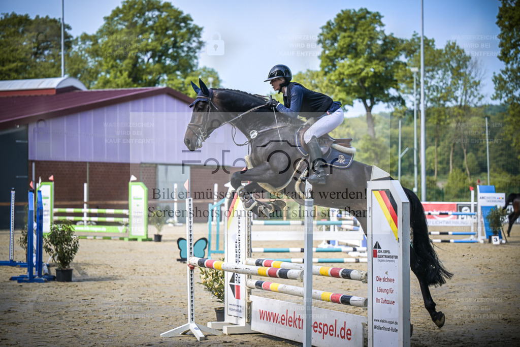 DOS_6129 | Entdecke hochwertige Reitturnierfotos von Foto Oger. Professionell, emotional und authentisch – jetzt Lieblingsmomente im Shop bestellen. - Realisiert mit Pictrs.com
