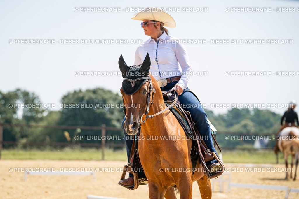 DSC00457 | Pferdegrafie