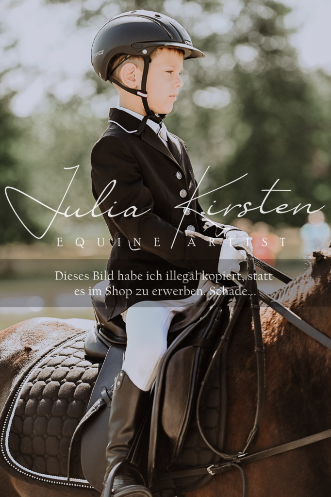 DSC_7980 | Pferde- und Turnierfotografie in Westsachsen. Pferdeportraits, Auftragszeichnungen und intuitive Kunst.