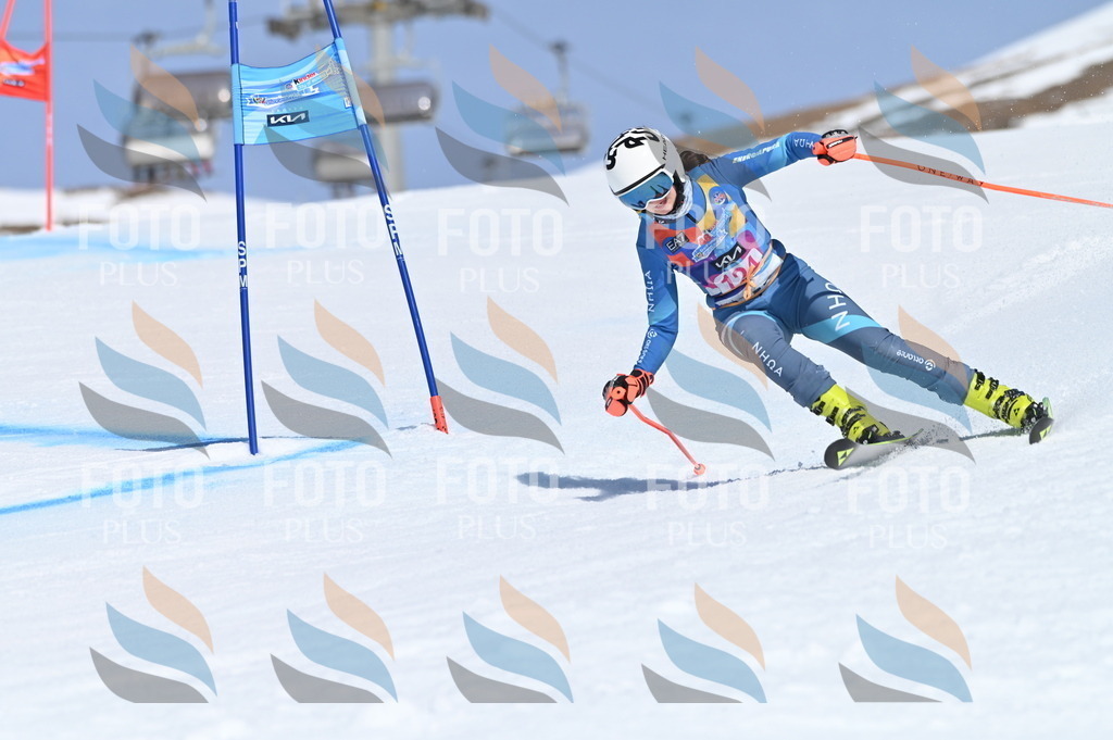 BGV_9880 | holidayphoto