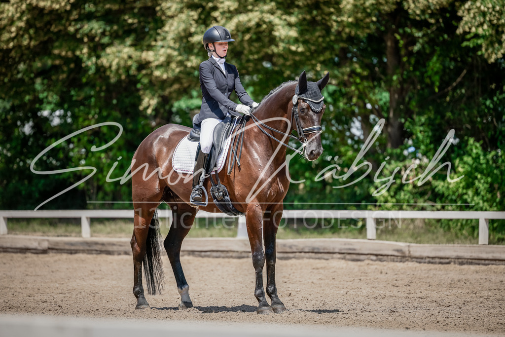 20250621-_3LI8106 | Tierfotografie Pferde, Hunde, Katzen, Haustiere.
Turnierfotografie Reitturniere, Reiten, Springreiten, Dressur in Hanau, dem Main-Kinzig-Kreis und dem Rhein-Main- Gebiet um Frankfurt