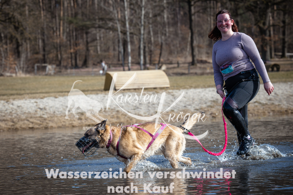 1155_ZZ97381 | kk-dogfotos