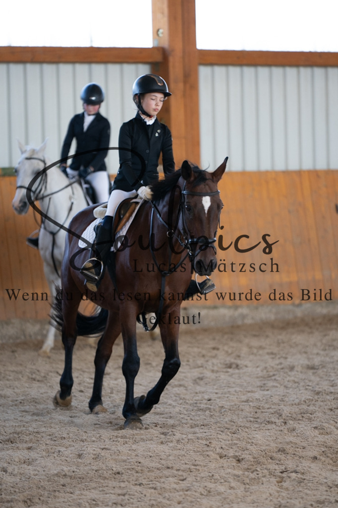 A7V02045 | Turnier/Reitfotograf