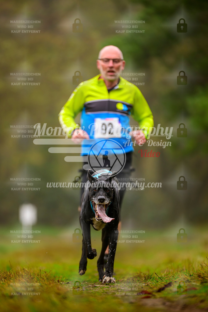 MompixPhotography_Bischwiller2025_Canicross-31 | mompixphotography