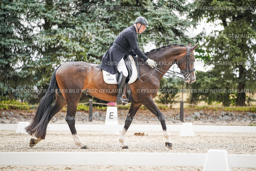 DSC06980 | Pferdegrafie