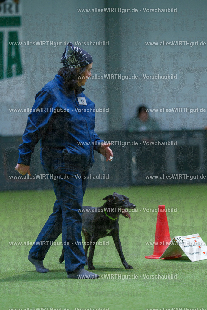 7R506010 | Professionelle Tierfotografie in Mönchengladbach von Daniel Wirth (allesWIRTHgut). Liebevolle & natürliche Bilder von Hunden & Katzen für unvergessliche Erinnerungen.