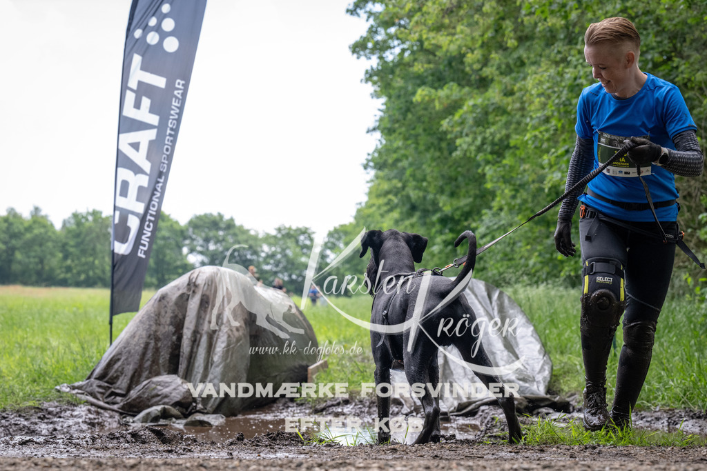 1113_ZZ91874 | kk-dogfotos