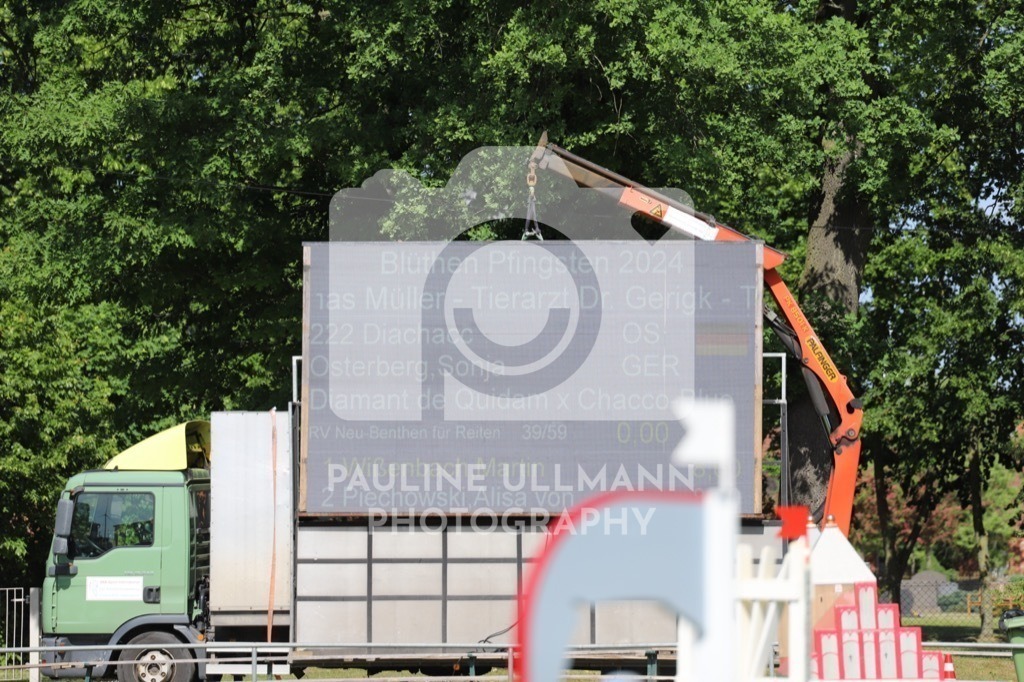 IMG_6586 | Pauline Ullmann Photography - Realisiert mit Pictrs.com