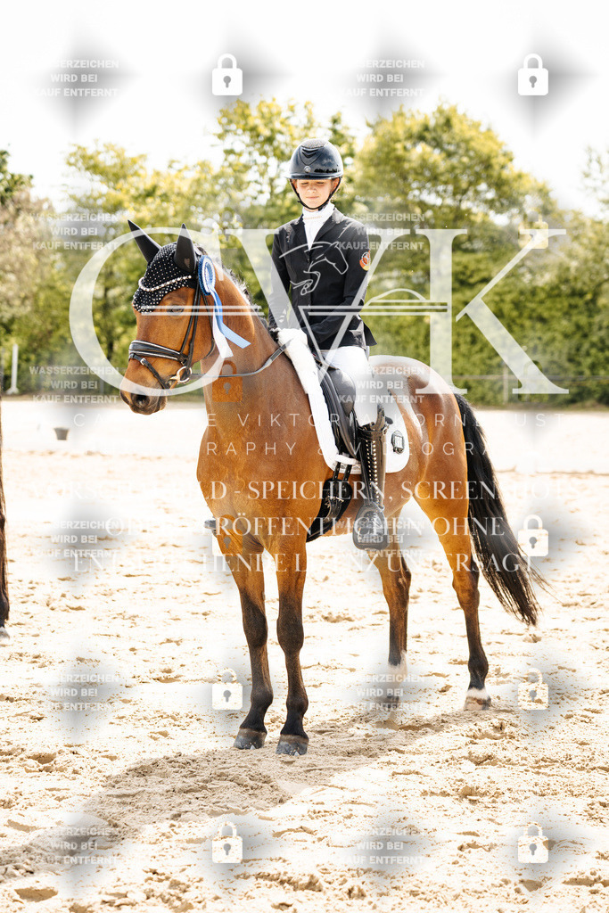 CK703623 | Turnierfotografie Pferdefotografie Trier Rheinland-Pfalz Pferdesport Reitsport Tierfotografie Sportfotografie Pferdevideo Pferdevideografie Equestrianvideography equestrianphotography  - Realisiert mit Pictrs.com