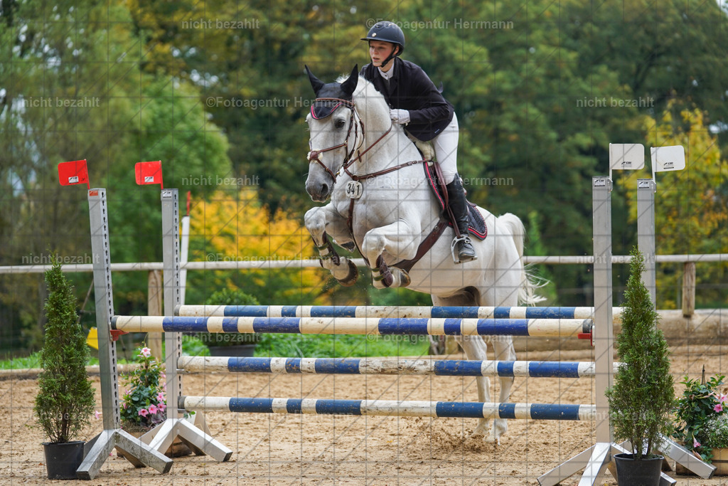 20221009-FAH08875 | Diessen am Ammersee, 2022, Dressur- und Springturnier, Reitsportbilder, Turnierfotografen Bayern, Pferdefotografen, Fotoagentur Herrmann, Turnierbilder